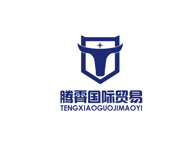 秦光華的大連騰霄國(guó)際貿(mào)易有限公司logo設(shè)計(jì)